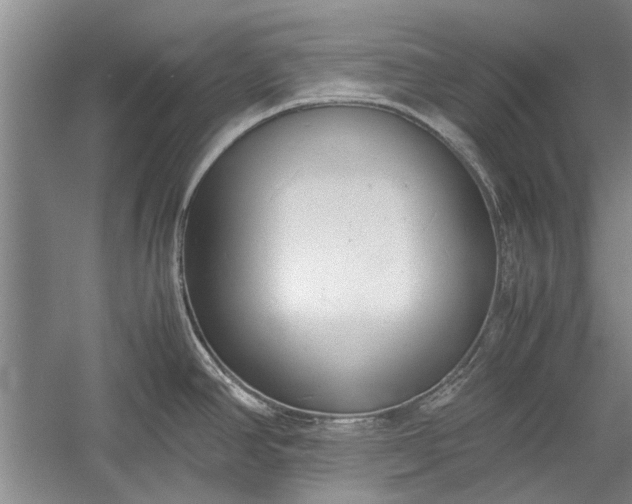X0000055061390200508161634.png
