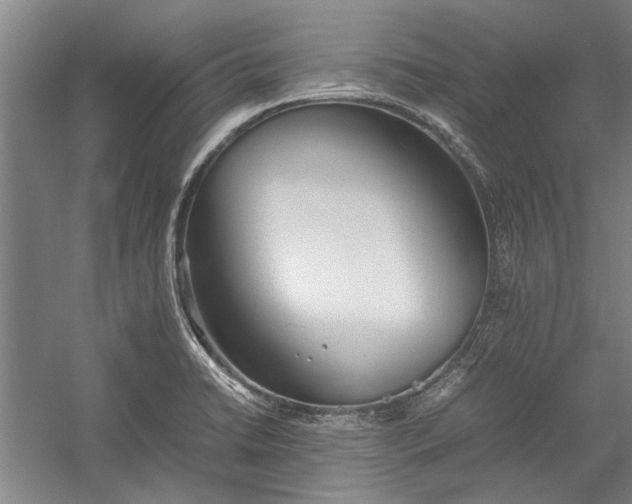 X0000055061422200508161634.png