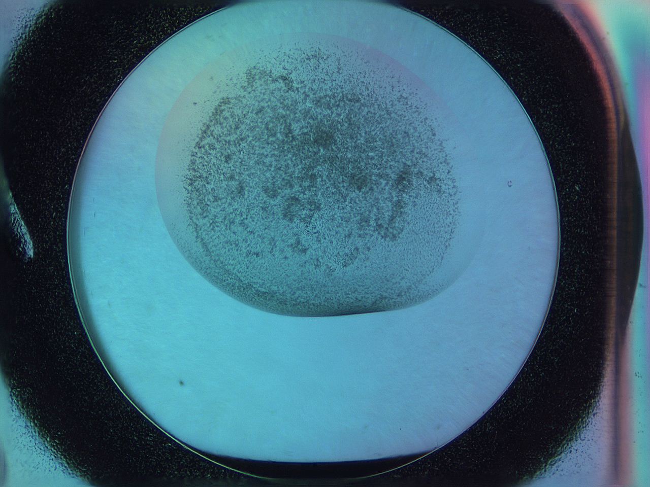 0588_A8_ImagerDefaults_3.jpg