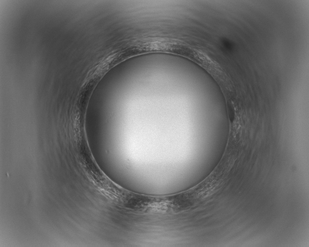X0000055060306200508161652.png