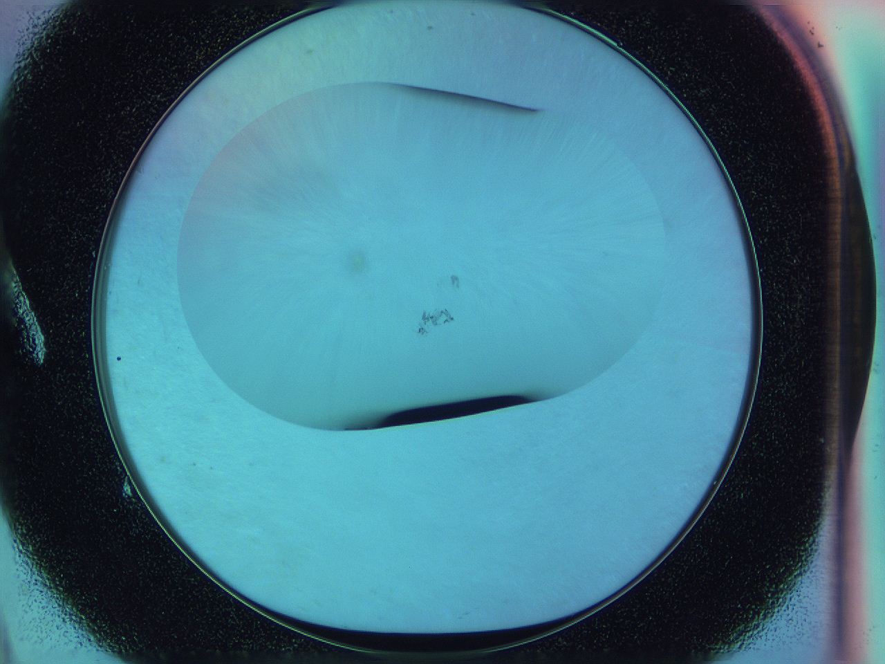 0588_A9_ImagerDefaults_0.jpg