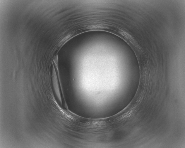 X0000055060841200508161643.png