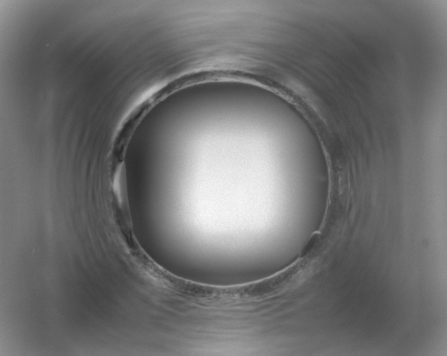 X0000054331069200508111913.png