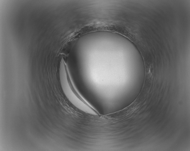 X0000055251348200509071604.png