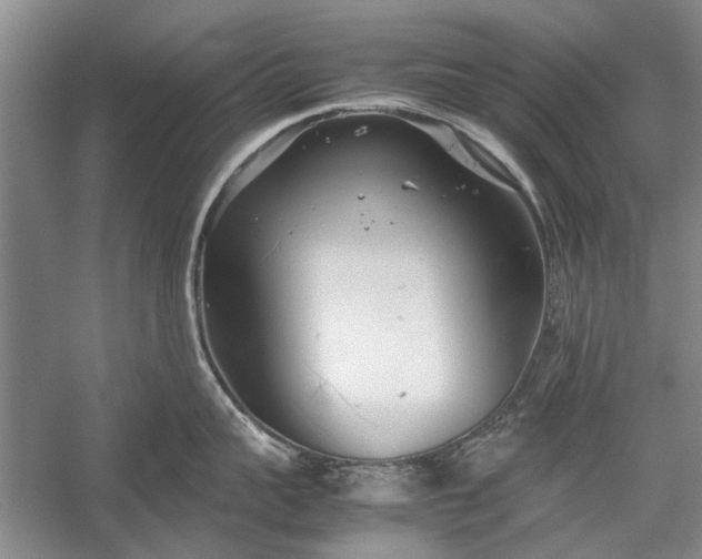 X0000055060959200508161642.png