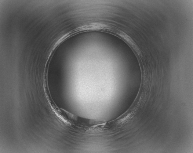 X0000055210850200508301320.png