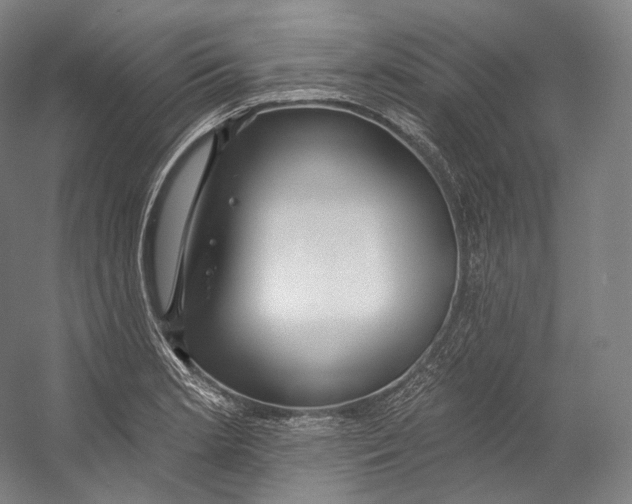 X0000055211181200508301314.png