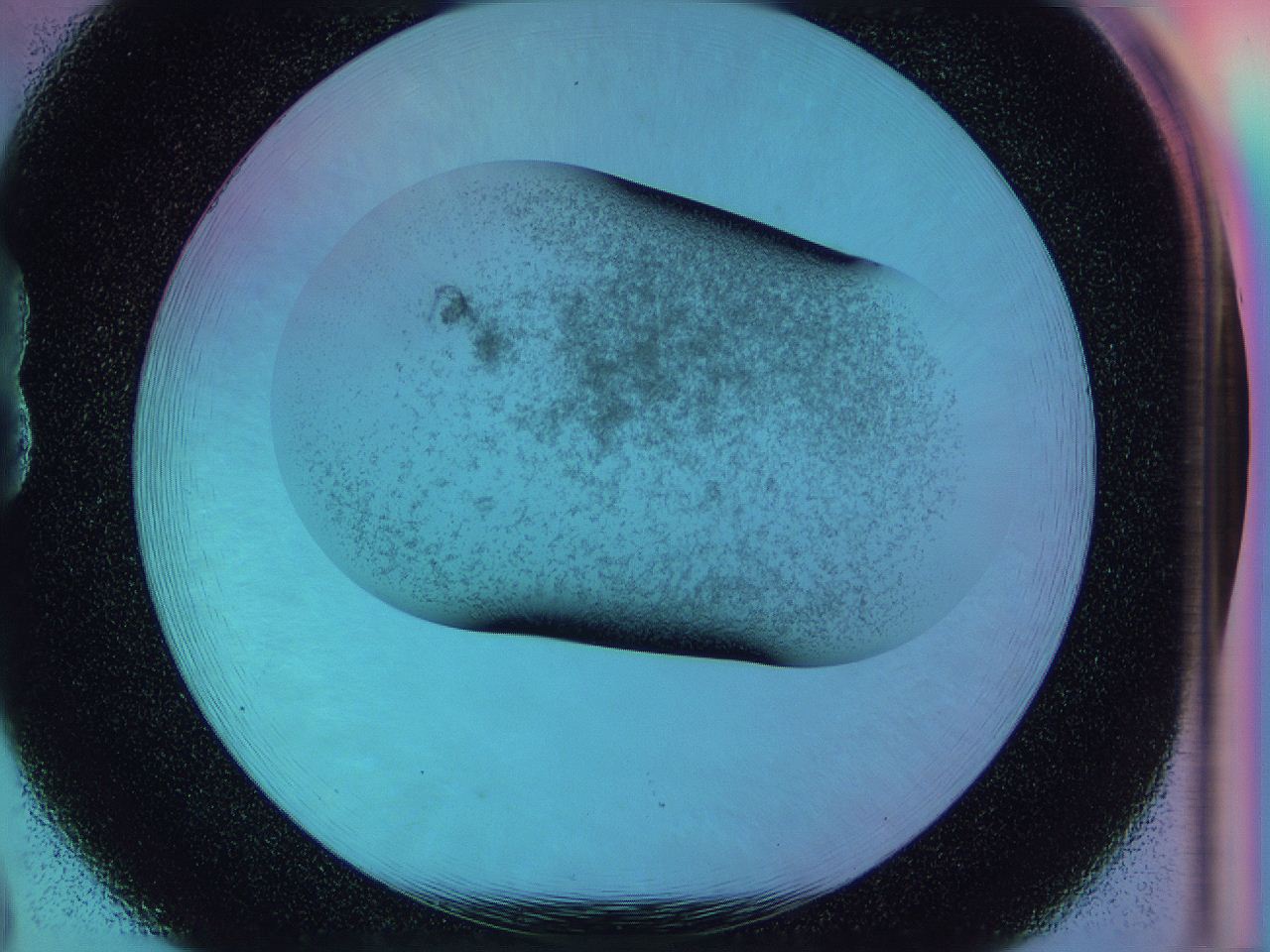 0588_B8_ImagerDefaults_3.jpg