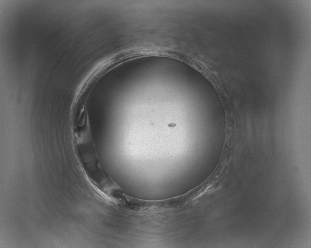 X0000055210197200508301330.png