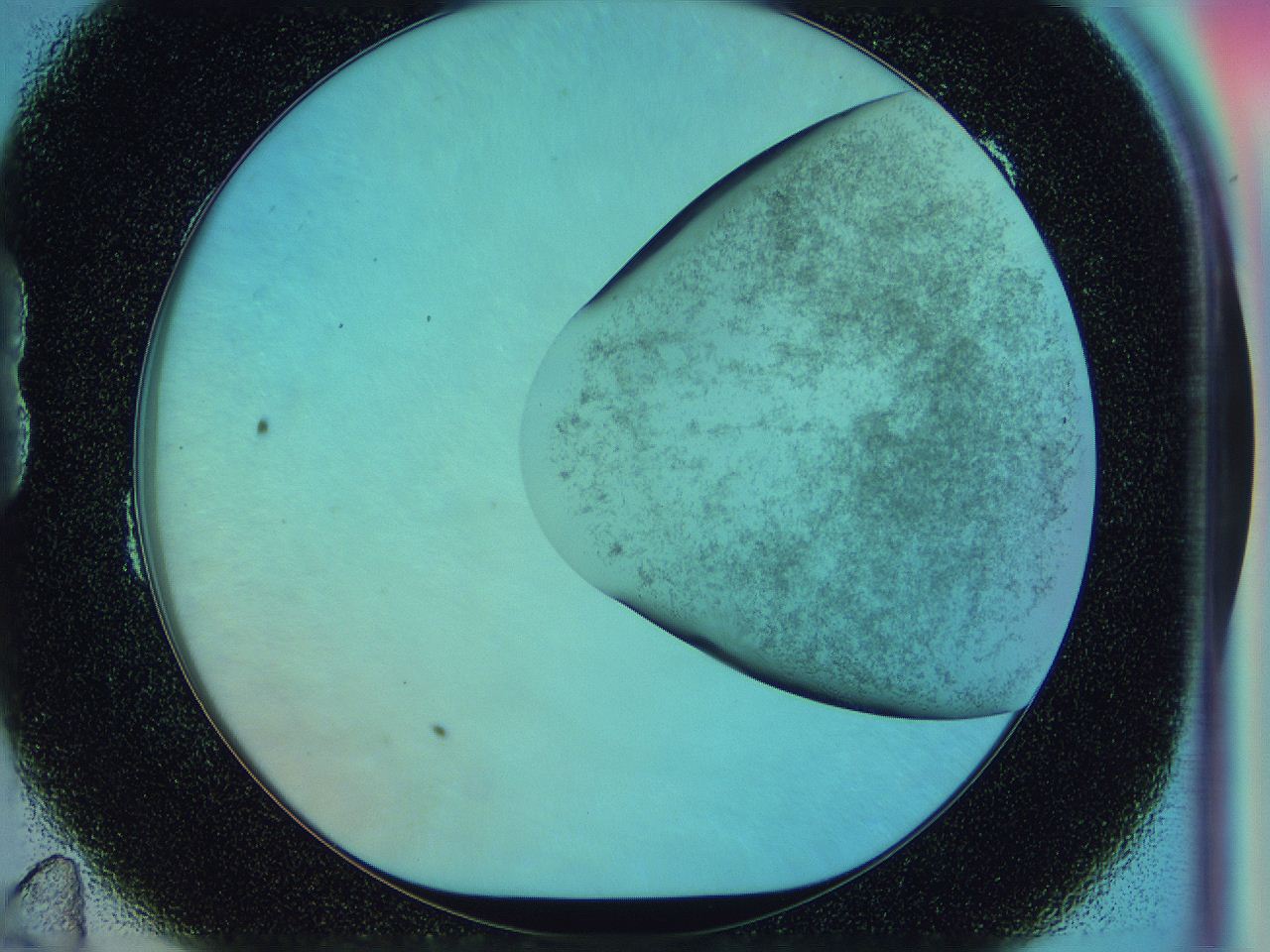0588_B11_ImagerDefaults_3.jpg