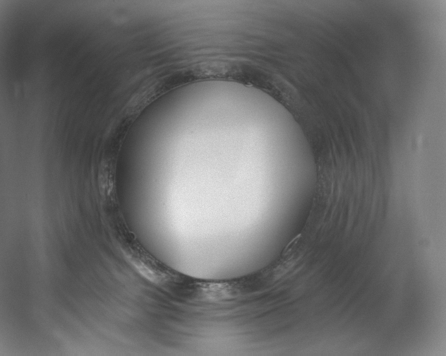 X0000055210091200508301333.png
