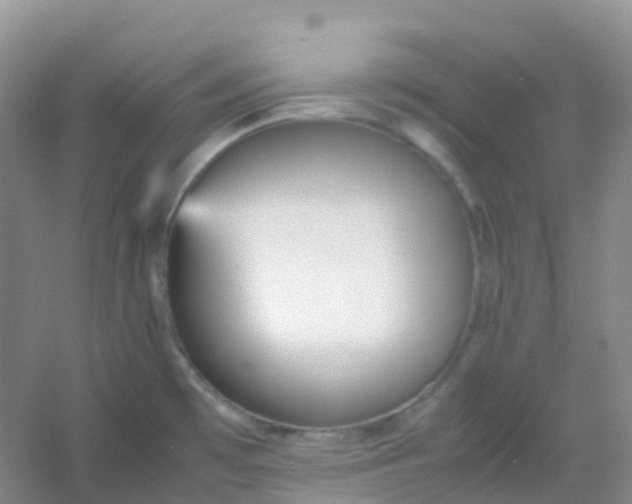 X0000054331481200508111906.png