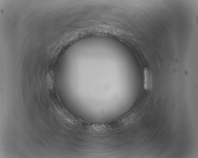 X0000054651491200508091628.png