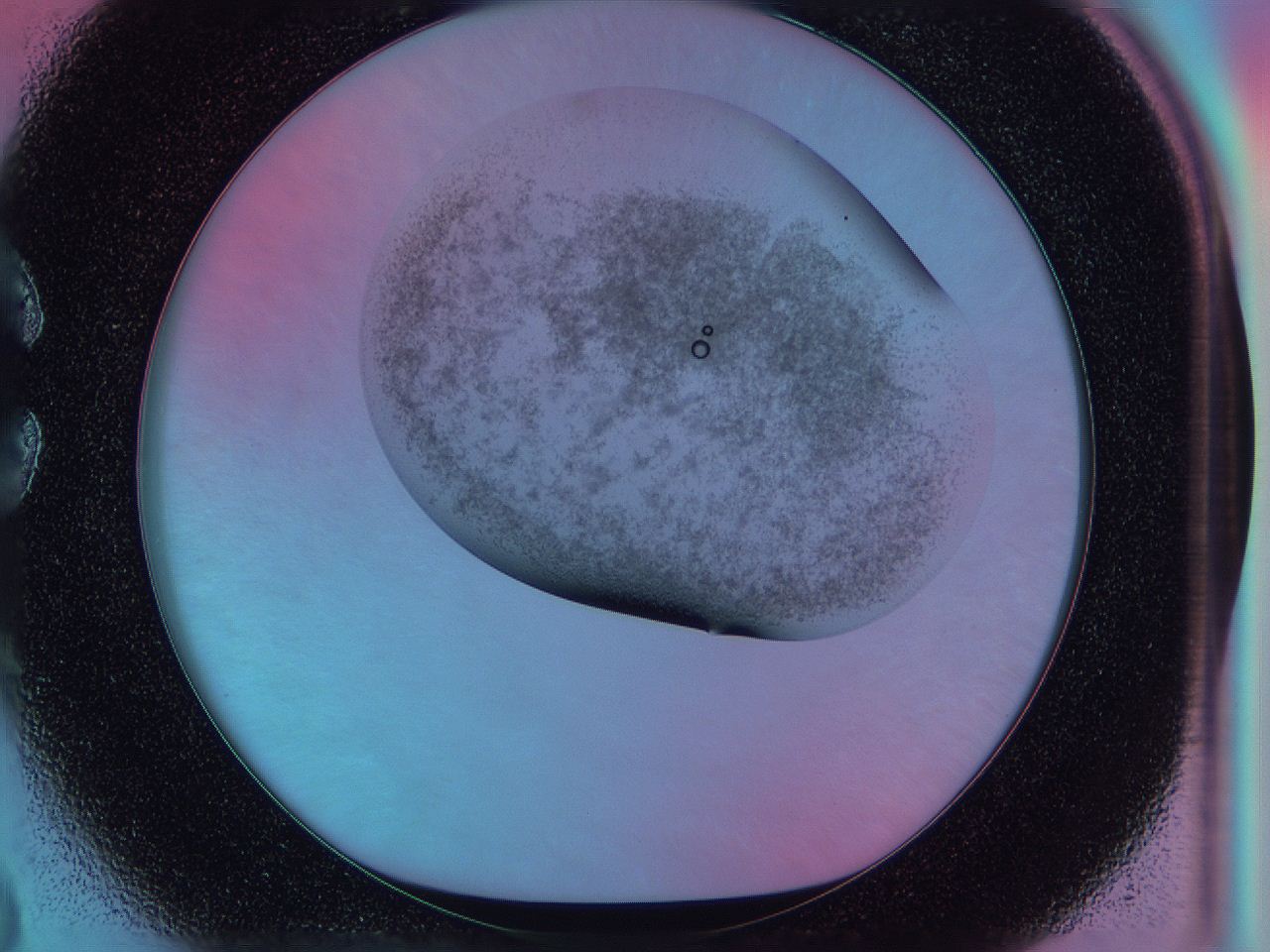 0588_C3_ImagerDefaults_3.jpg