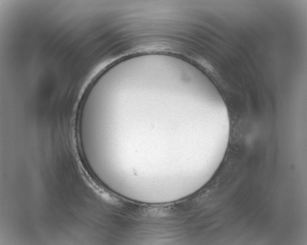 X0000054331086200508111913.png