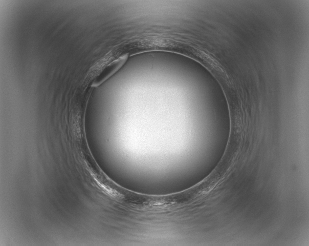 X0000055060489200508161649.png
