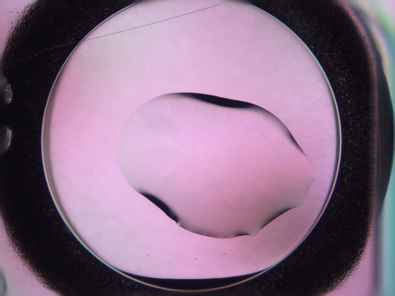 01ge_C2_ImagerDefaults_0.jpg