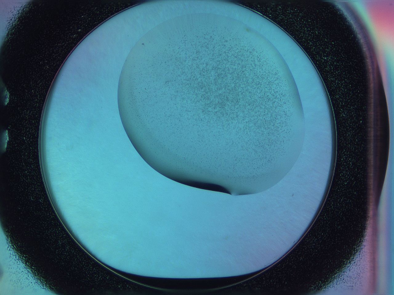 0588_C5_ImagerDefaults_3.jpg