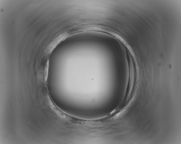 X0000054650905200508091638.png