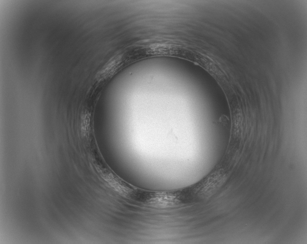 X0000055060278200508161653.png
