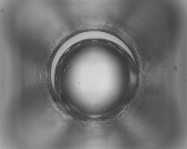 X0000052120107200507262101.png