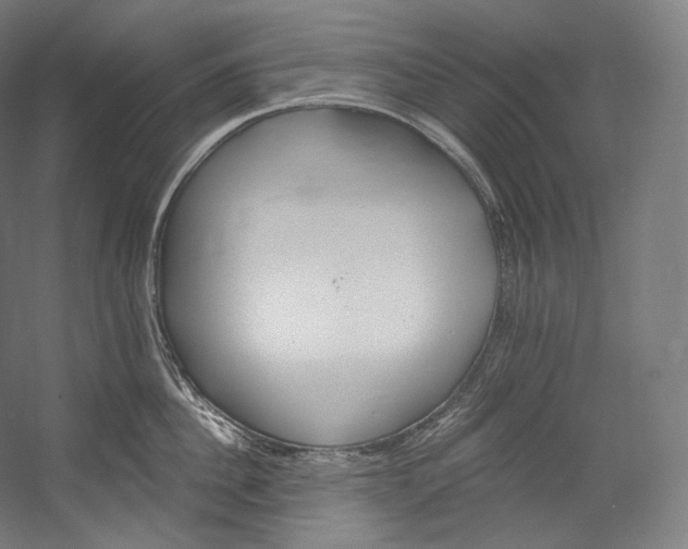 X0000055210956200508301318.png