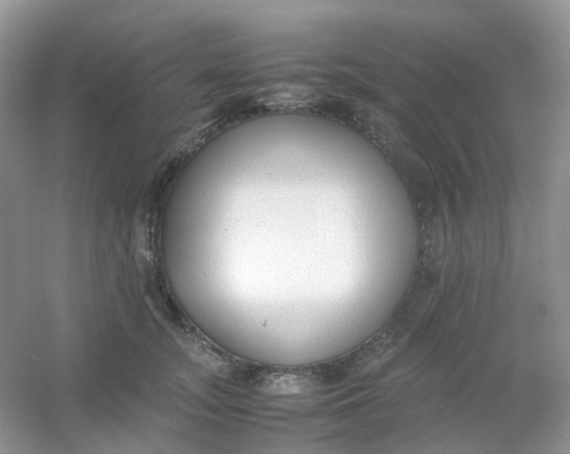 X0000054330755200508111919.png