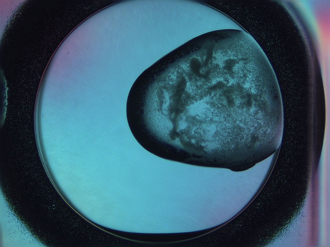0588_D4_ImagerDefaults_3.jpg