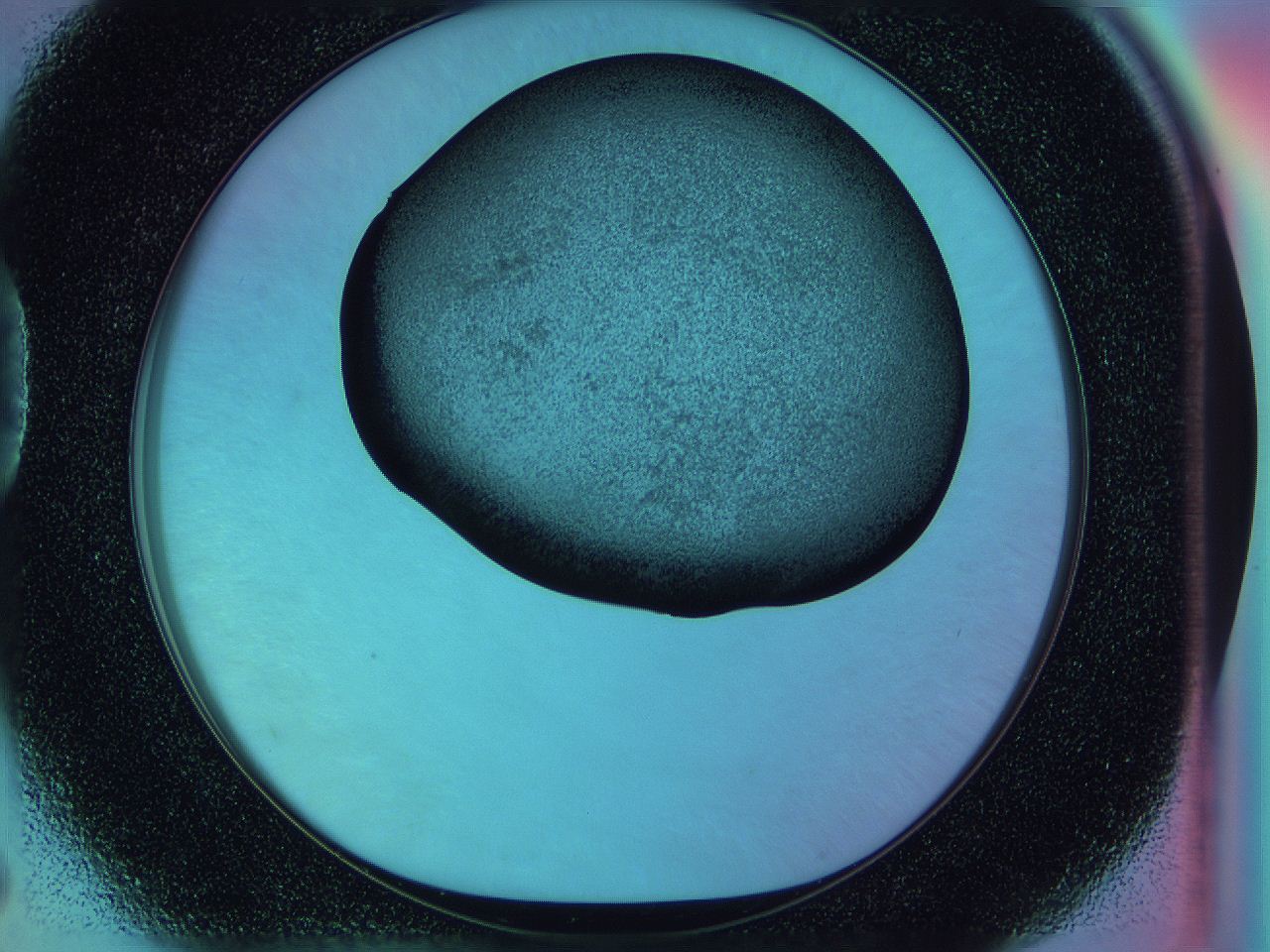 0588_D5_ImagerDefaults_3.jpg