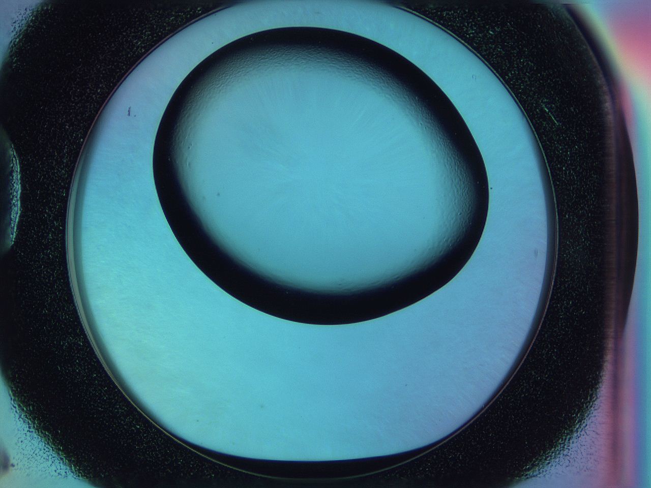 0588_D6_ImagerDefaults_0.jpg