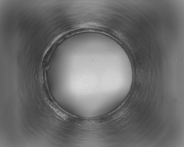 X0000055210931200508301318.png