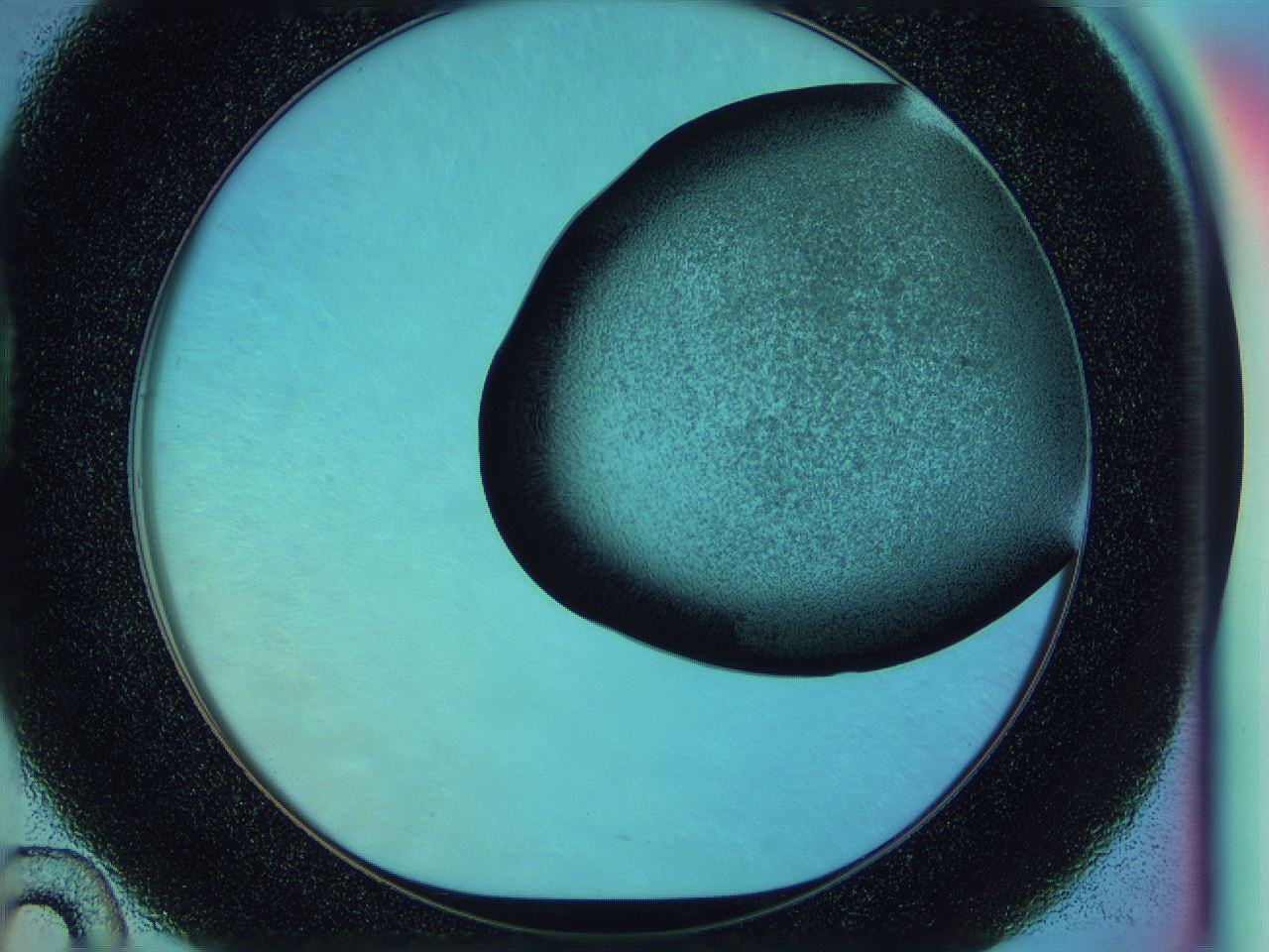0588_D10_ImagerDefaults_3.jpg
