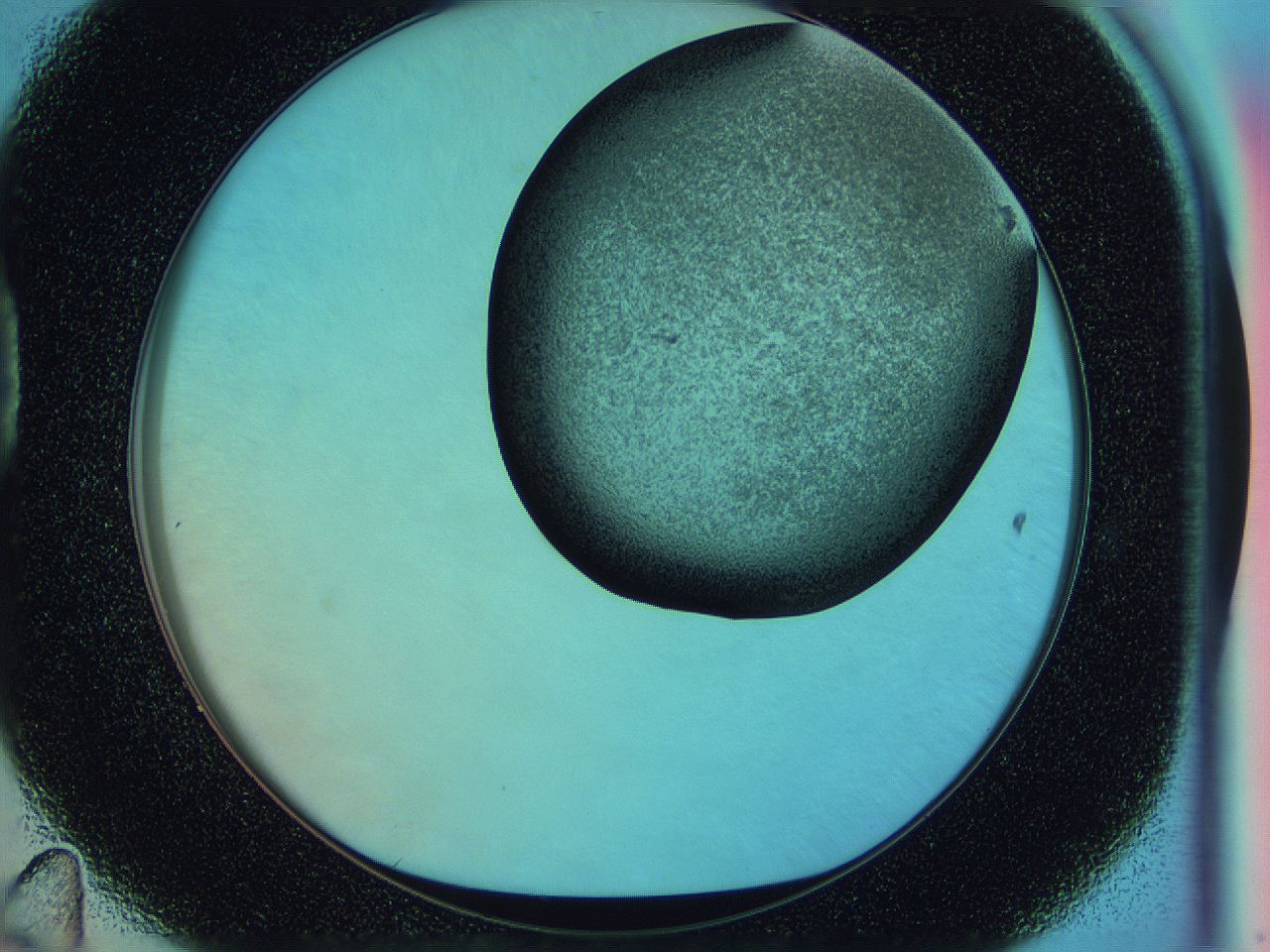 0588_D11_ImagerDefaults_3.jpg