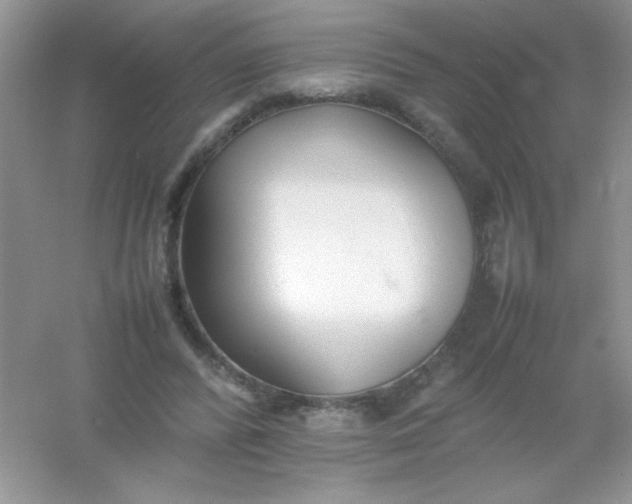X0000054330400200508111924.png