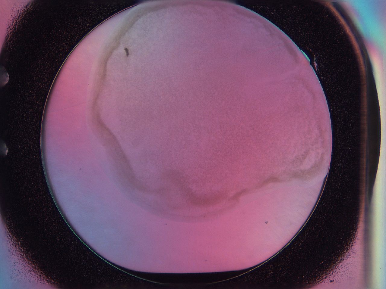 0588_E1_ImagerDefaults_3.jpg