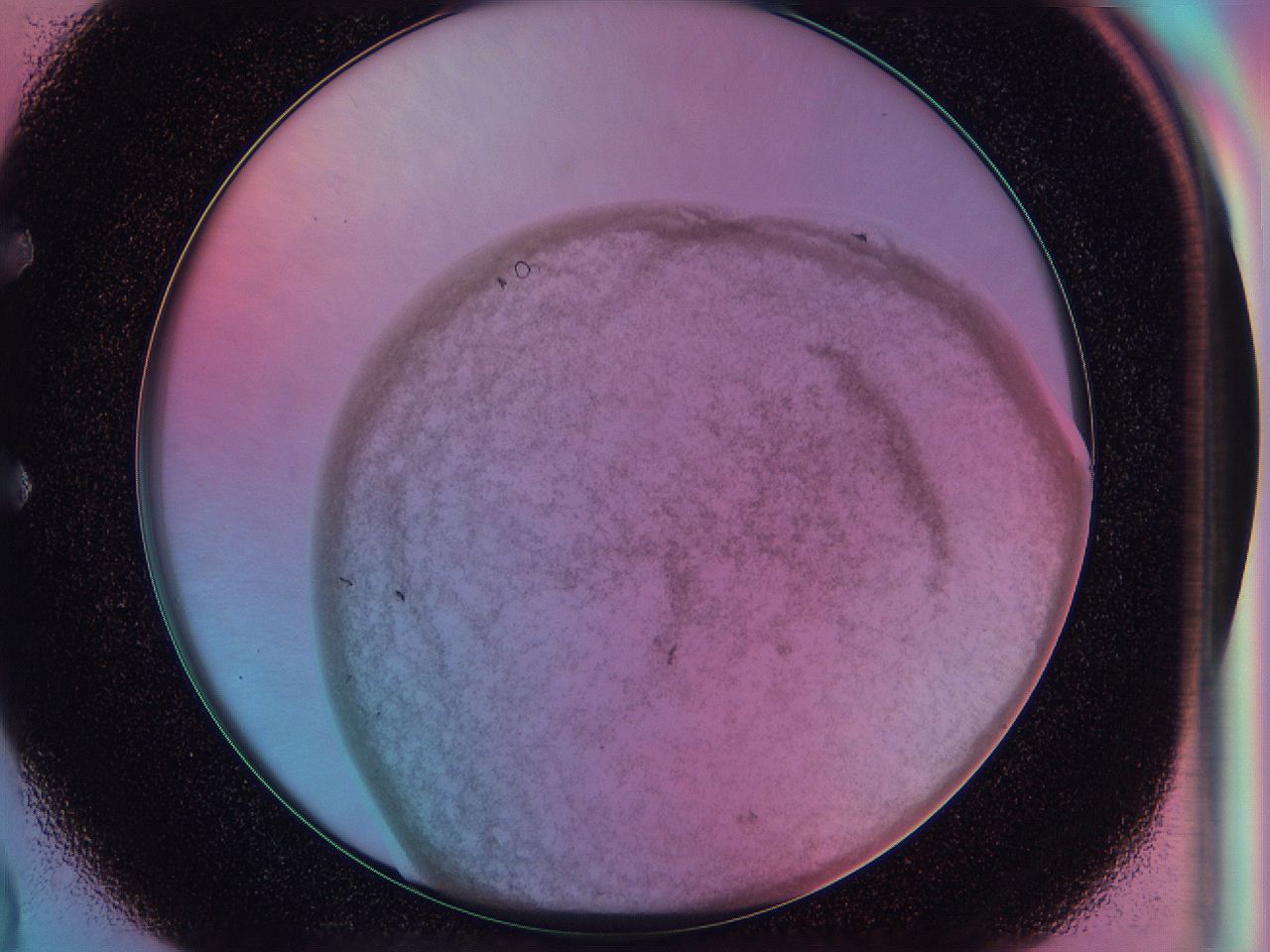 0588_E2_ImagerDefaults_3.jpg