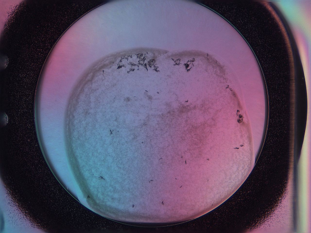 0588_E3_ImagerDefaults_3.jpg