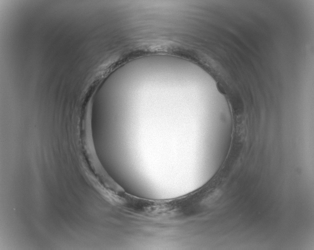 X0000054330589200508111921.png