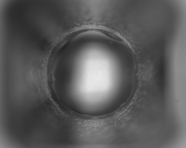 X0000052020008200507181638.png