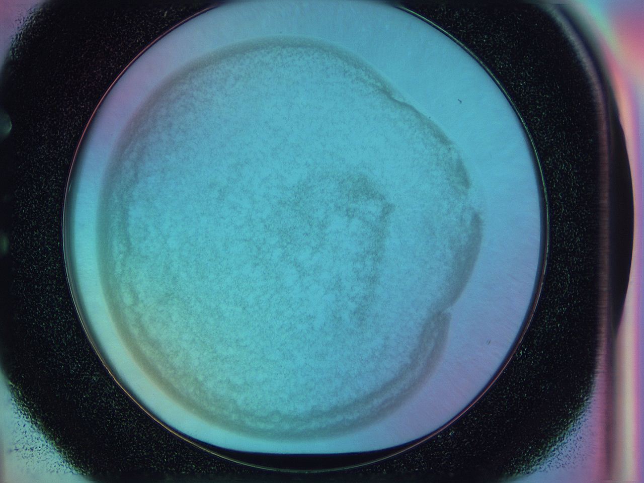 0588_E4_ImagerDefaults_3.jpg