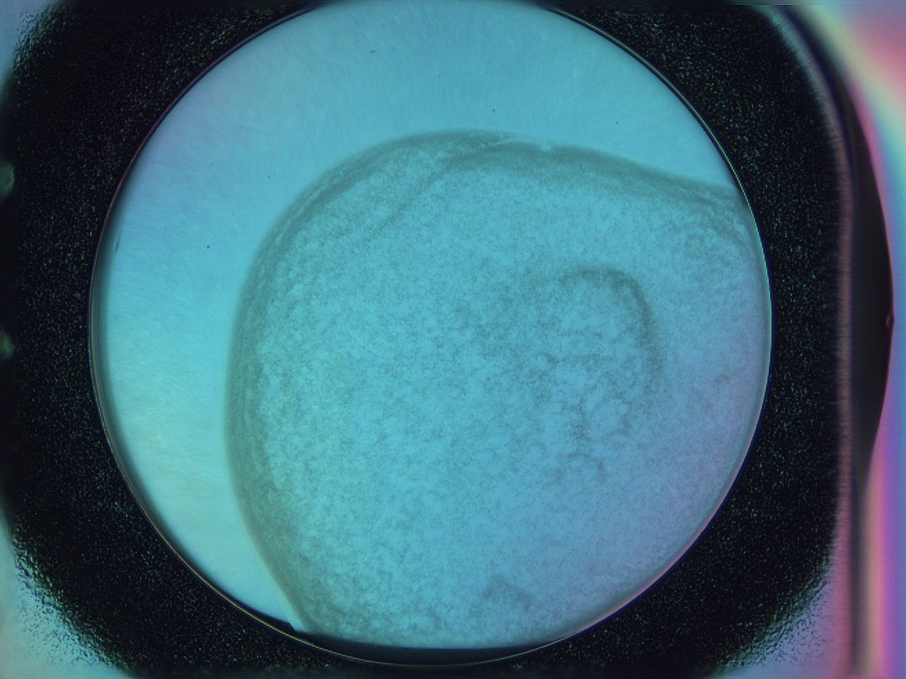 0588_E5_ImagerDefaults_3.jpg