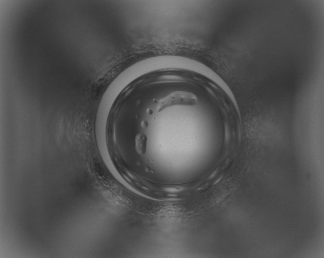 X0000052730599200507141547.png