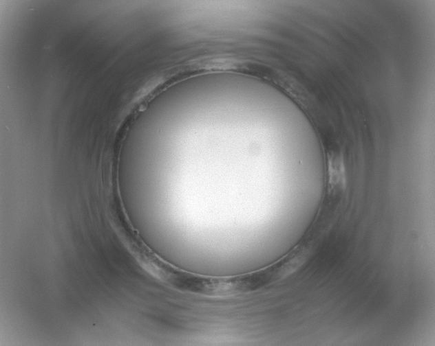 X0000054330301200508111926.png
