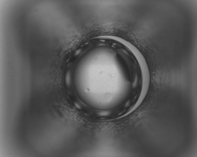 X0000038920916200409291001.png