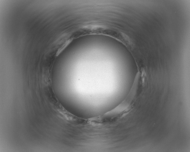 X0000054331014200508111913.png