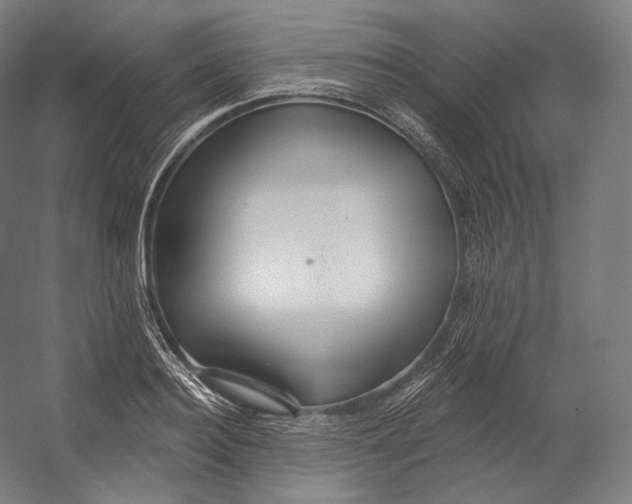 X0000055210940200508301318.png