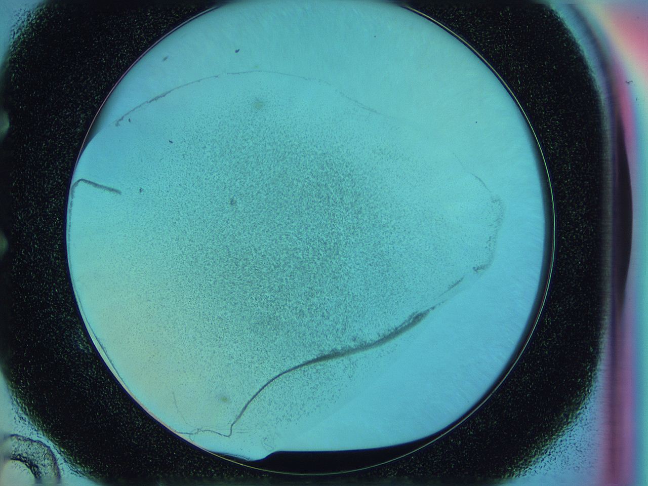0588_E10_ImagerDefaults_3.jpg