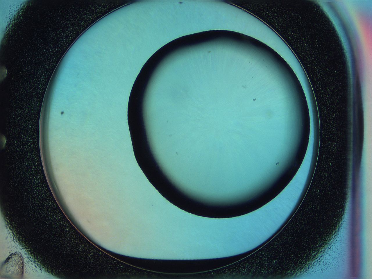 0588_E11_ImagerDefaults_0.jpg