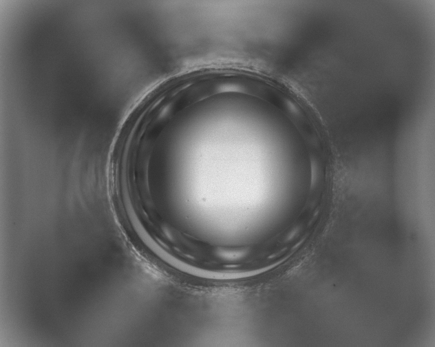 X0000052281082200507132022.png