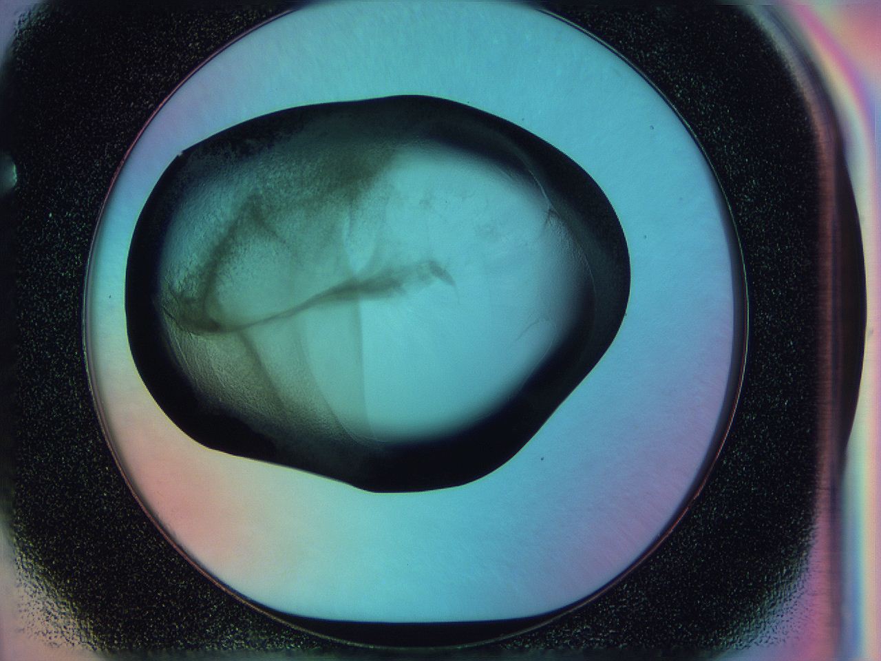 0588_F4_ImagerDefaults_3.jpg